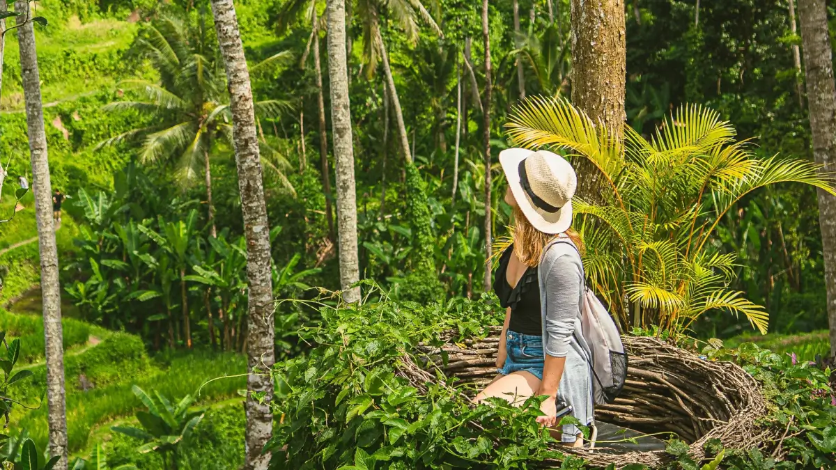 Bali Beginner Travel Guide