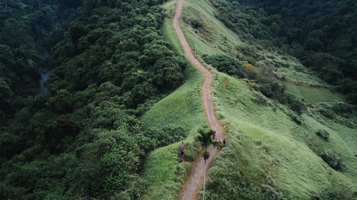 Campuhan Ridge Walk Ubud